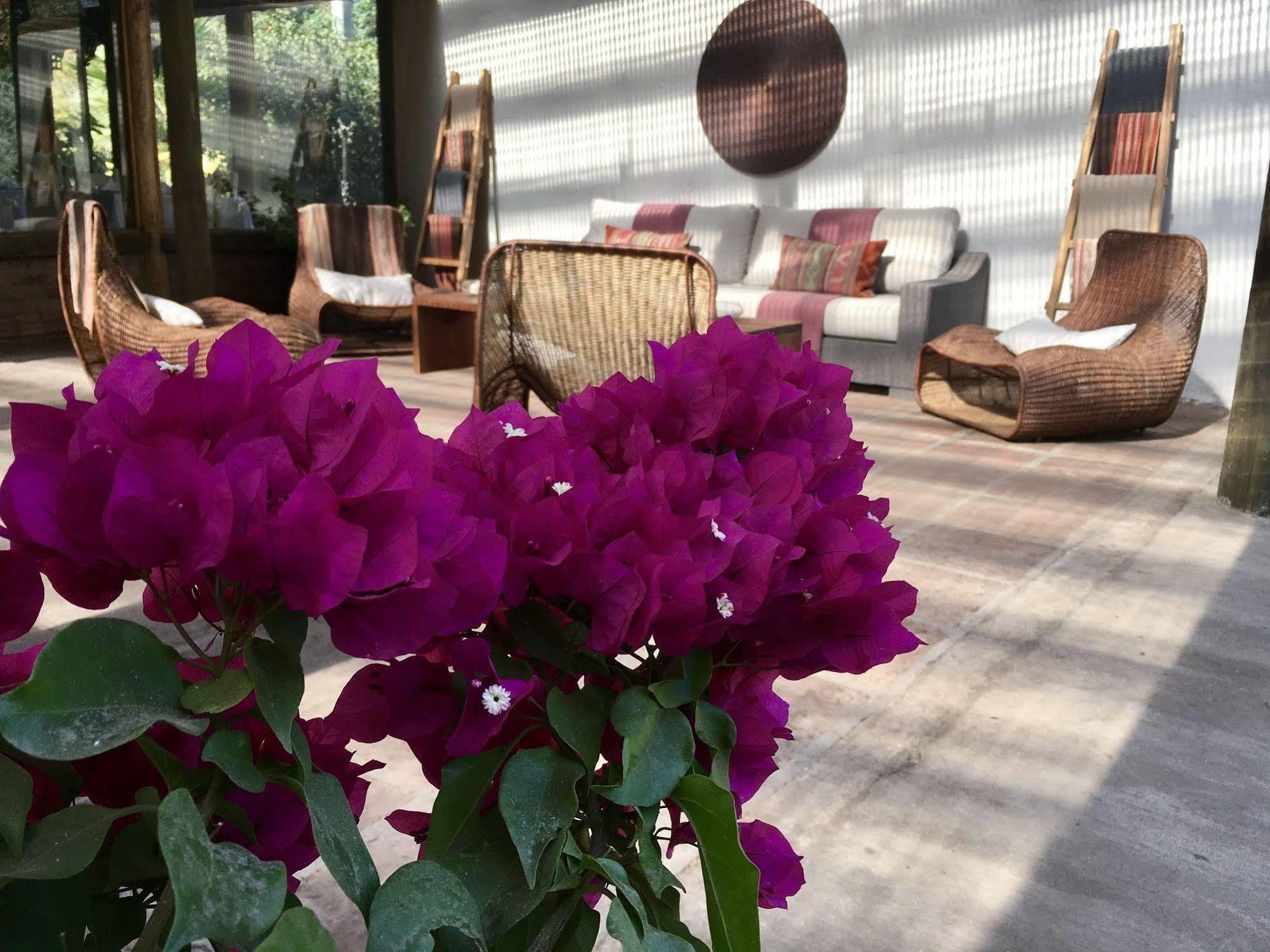 Hotel Casa De Campo Santa Cruz Εξωτερικό φωτογραφία